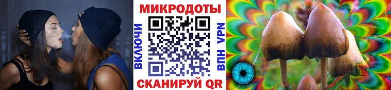 Галлюциногенные грибы MAGIC MUSHROOMS  где продают наркотики  Абакан 