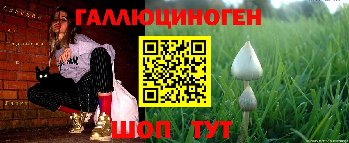 Псилоцибиновые грибы мицелий Абакан