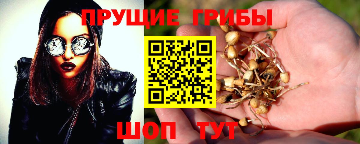 Галлюциногенные грибы Magic Shrooms  Вход с VPN  Абакан  Галлюциногенные грибы мицелий 