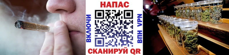 Конопля план Абакан